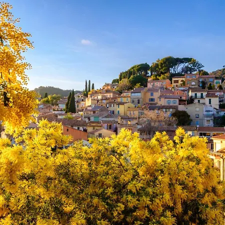 Cote D'azur-10 By Interhome Bormes-les-Mimosas